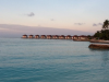 maldivia